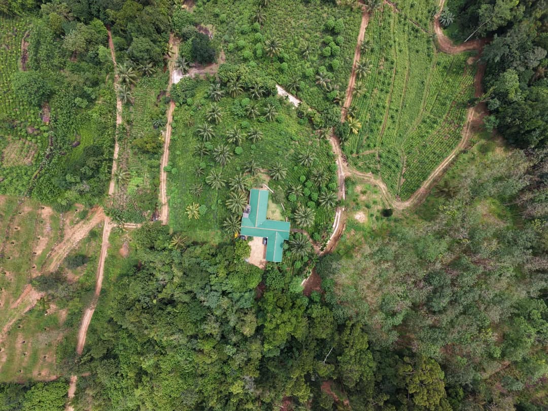Exclusive Eco/Agro Tourism Estate for Sale-Bulathsinhala