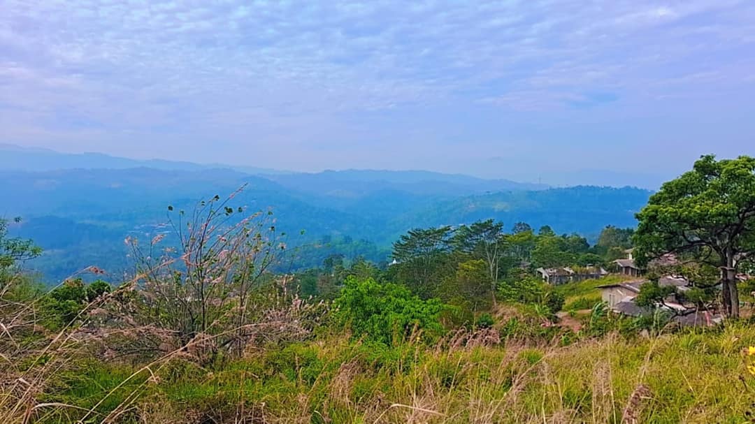 Nillamba Estate