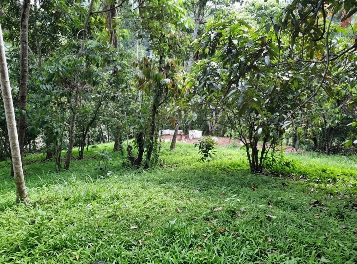 Prime 130-Perch Scenic Property in Wattegama, Kandy